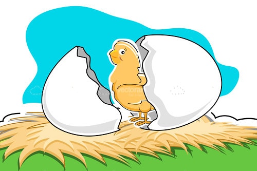 Illustrated Chicken Hatching from Broken Egg